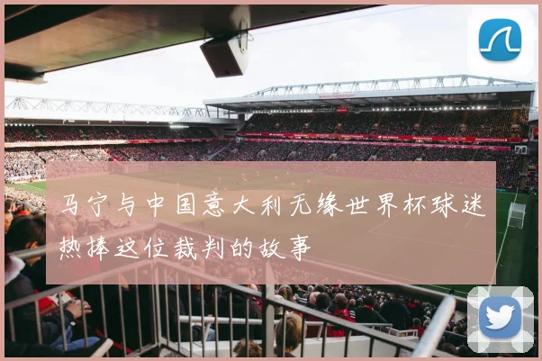 马宁与中国意大利无缘世界杯球迷热捧这位裁判的故事